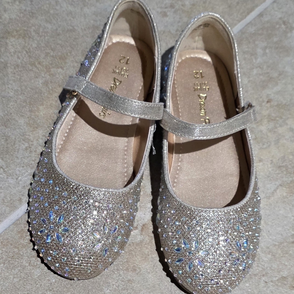 Dream Pairs Girls' Sparkle Floral Mary Janes